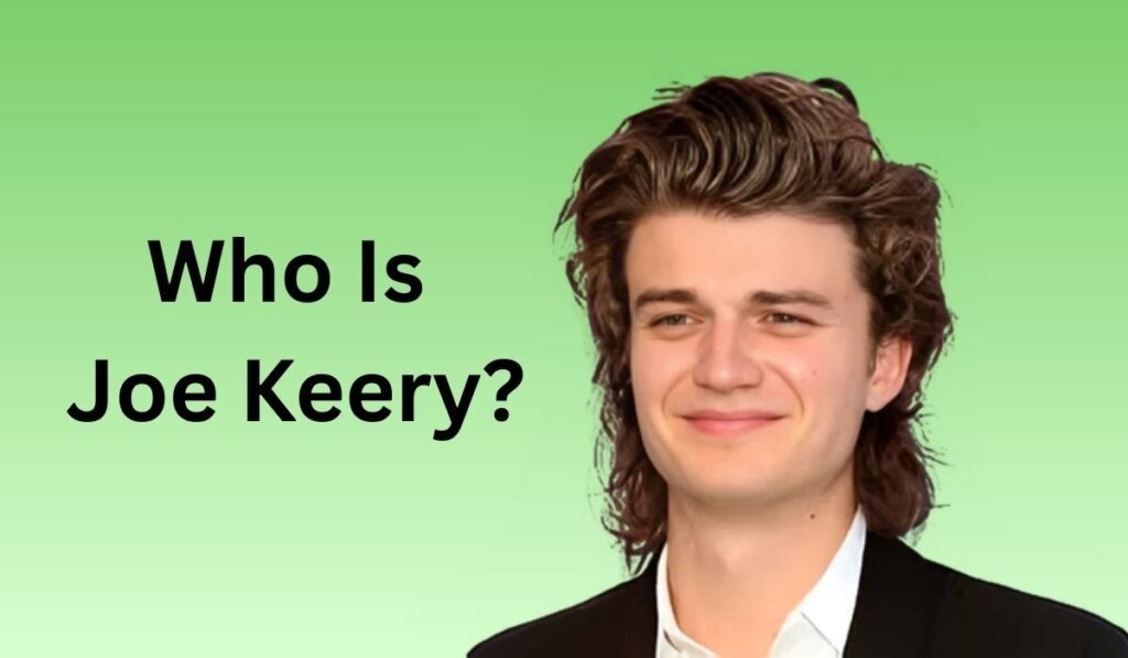 Who Is Joe Keery?